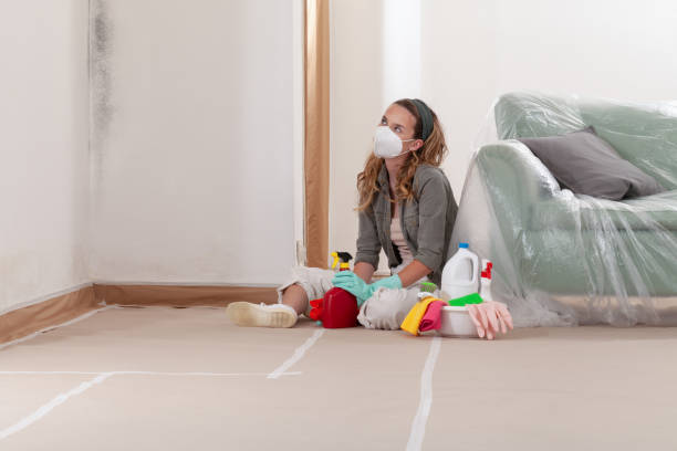 Reliable Black Mold Remediation contractor in Sunbury, NC by 24 Hour Mold Removal